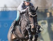 Capponi Royal Star TosTour 2013- S5 3433 : Arezzo Equestrian Centre, Capponi Francesca, Royal Star, Toscana Tour 2013, foto di Stefano Secchi ©